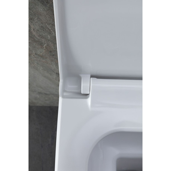 Унитаз подвесной безободковый Allen Brau Infinity 4.21011.20 с крышкой микролифт фото 21