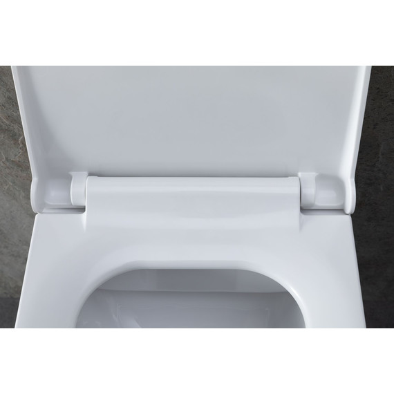 Унитаз подвесной безободковый Allen Brau Infinity 4.21011.20 с крышкой микролифт фото 22