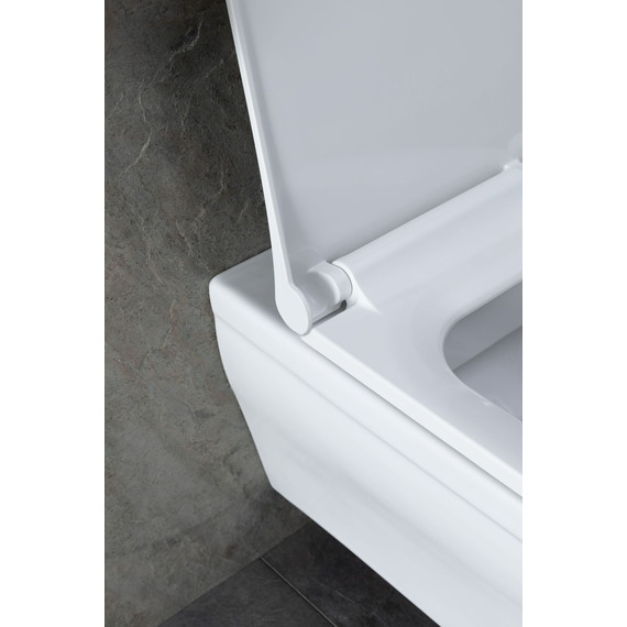 Унитаз подвесной безободковый Allen Brau Infinity 4.21011.20 с крышкой микролифт фото 23