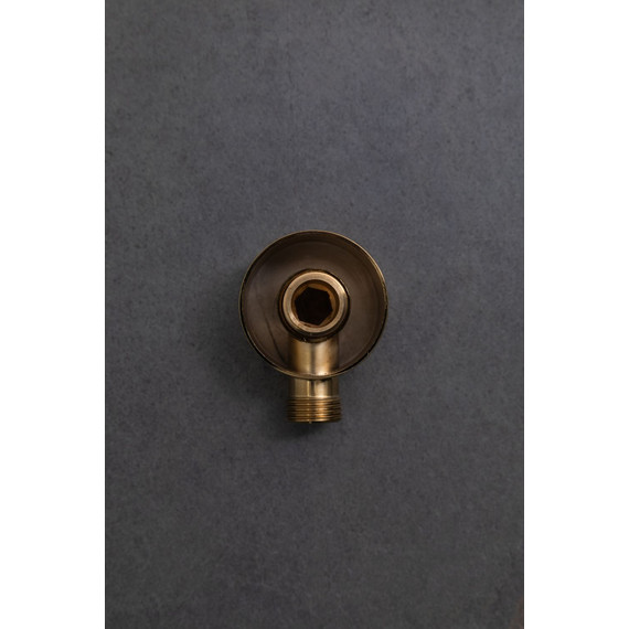 Шланговое подсоединение Allen Brau Priority 5.31A15-GB, золото фото 6