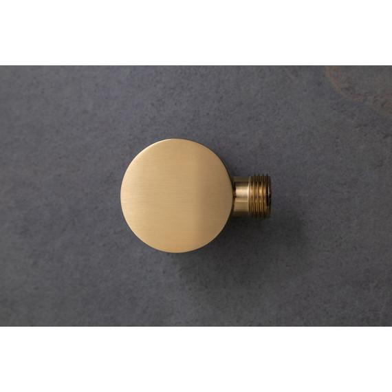 Шланговое подсоединение Allen Brau Priority 5.31A15-GB, золото фото 10