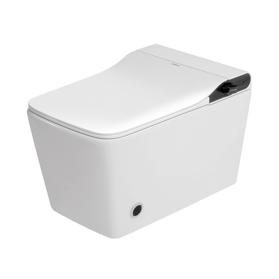 Инсталляция с подвесным унитазом комплект: Abber AC0101P2 с подвесным импульсным унитазом-биде Rechteck AC1215S с крышкой микролифт фото 3