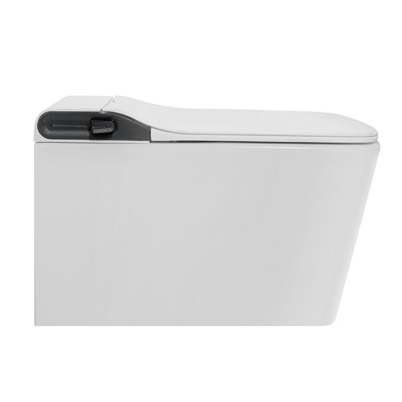 Инсталляция с подвесным унитазом комплект: Abber AC0101P2 с подвесным импульсным унитазом-биде Rechteck AC1215S с крышкой микролифт фото 2