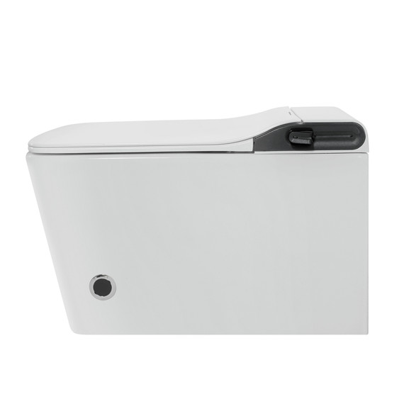 Инсталляция с подвесным унитазом комплект: Abber AC0101P2 с подвесным импульсным унитазом-биде Rechteck AC1215S с крышкой микролифт фото 5