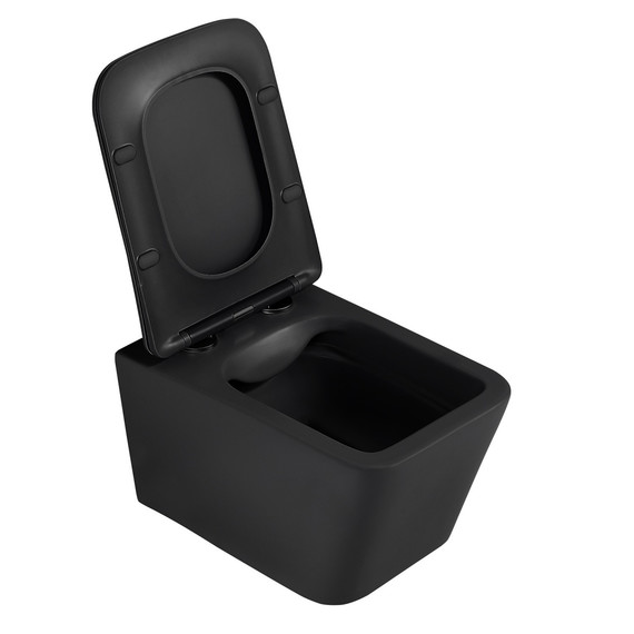 Инсталляция с подвесным унитазом комплект: Abber AC0105 с подвесным унитазом Rechteck AC1201MB с крышкой микролифт, кнопка смыва AC0120NG никель фото 4