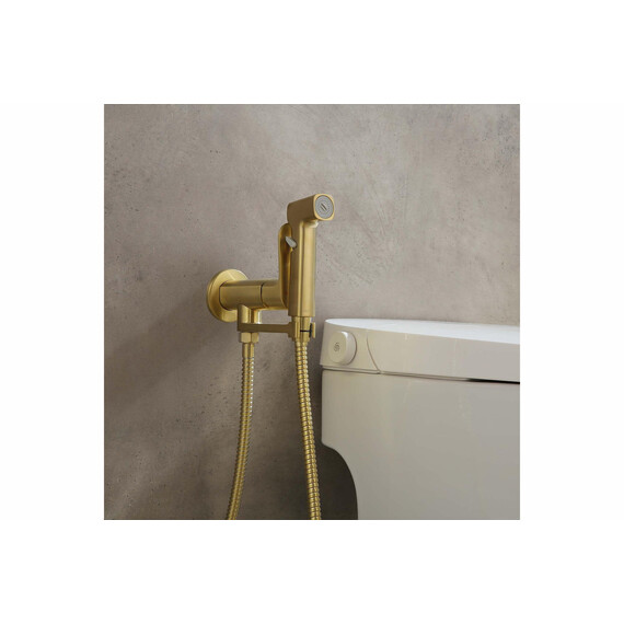 Набор для гигиенического душа Aquatek Альфа AQ1919BG (со скрытой частью) золото шлифованное фото 5