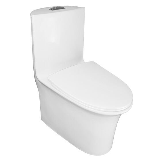 Унитаз-моноблок безободковый Azario Luna AZ-1037 с крышкой микролифт фото 2