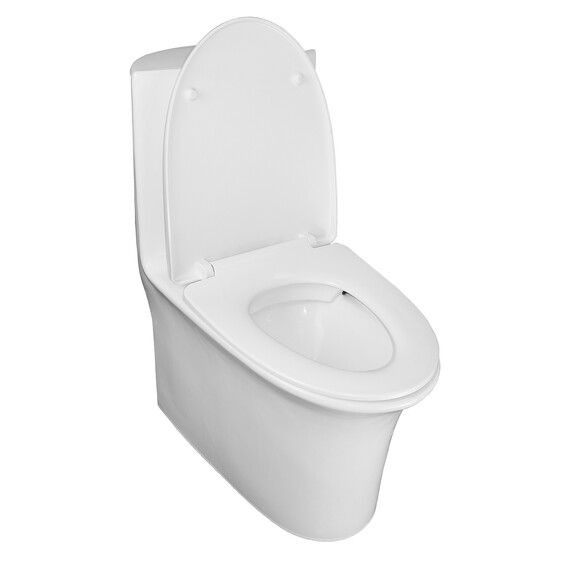 Унитаз-моноблок безободковый Azario Luna AZ-1037 с крышкой микролифт фото 3