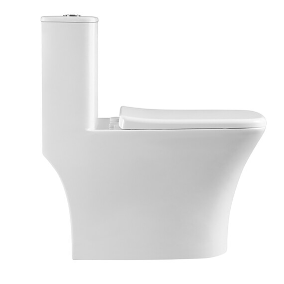 Унитаз-моноблок безободковый Azario Teano AZ-8621 с крышкой микролифт фото 2