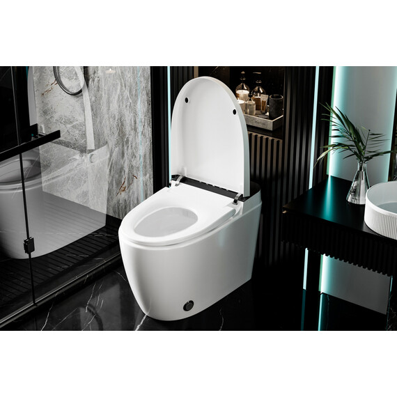 Унитаз-биде приставной электронный с импульсным смывом Abber Bequem AC1116S с крышкой микролифт фото 13