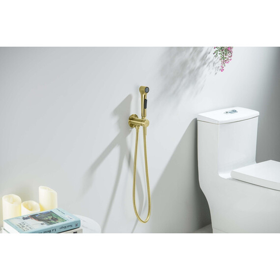 Набор для гигиенического душа Aquatek Европа AQ1020BG (со скрытой частью) золото шлифованное фото 3