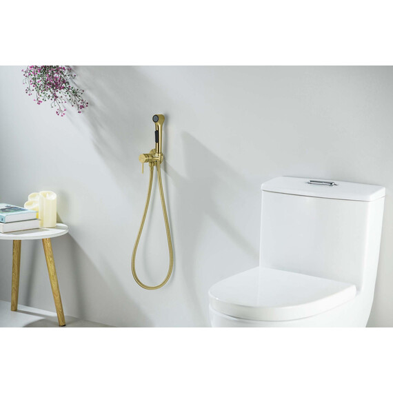 Набор для гигиенического душа Aquatek Европа AQ1020BG (со скрытой частью) золото шлифованное фото 4