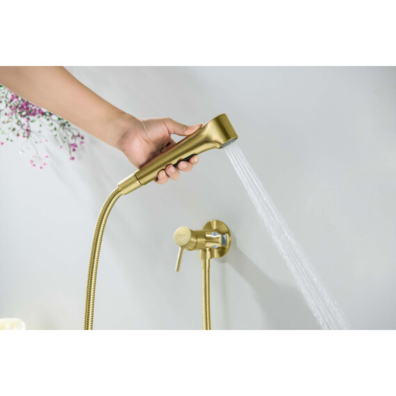 Набор для гигиенического душа Aquatek Европа AQ1020BG (со скрытой частью) золото шлифованное фото 6