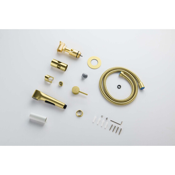 Набор для гигиенического душа Aquatek Европа AQ1020BG (со скрытой частью) золото шлифованное фото 7