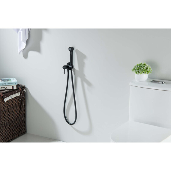 Набор для гигиенического душа Aquatek Европа AQ1020MB (со скрытой частью) чёрный матовый фото 5