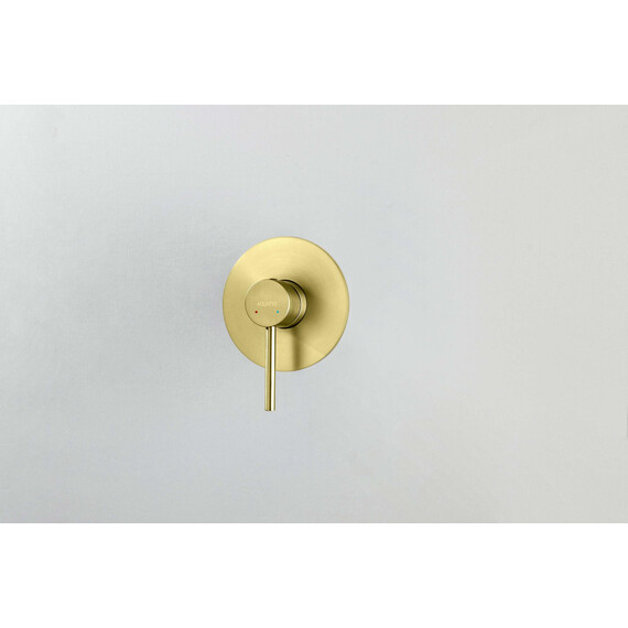 Смеситель для душа Aquatek Европа AQ1366BG (со скрытой частью) золото шлифованное фото 2