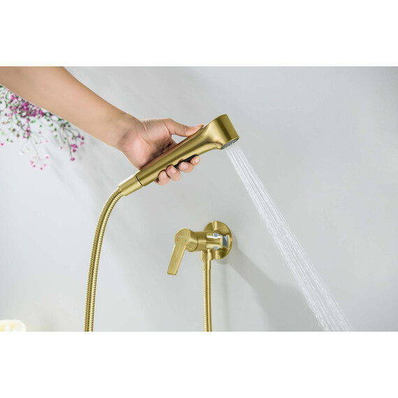 Набор для гигиенического душа Aquatek Лугано AQ1719BG (со скрытой частью) золото шлифованное фото 7