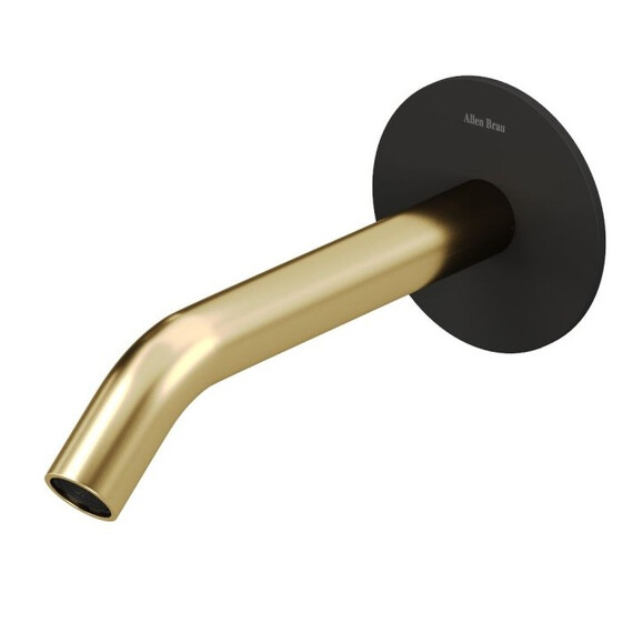 Излив для ванны Allen Brau Priority 5.31А18-31GB, чёрный/золото фото 