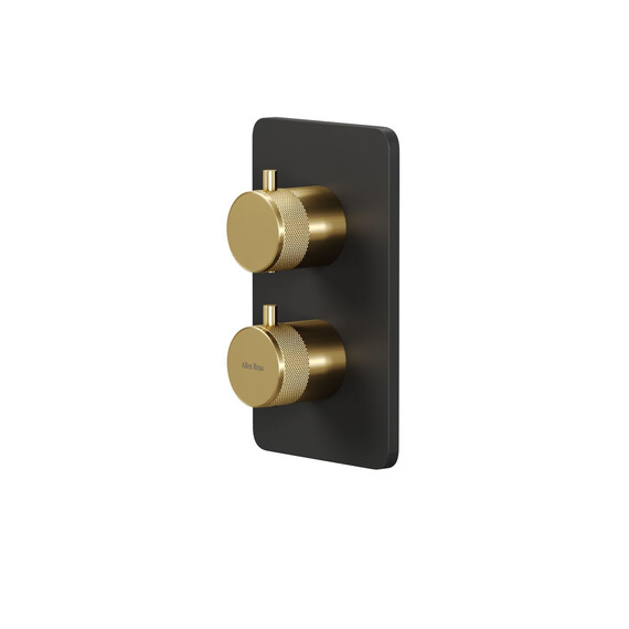 Смеситель для ванны с термостатом Allen Brau Priority 5.31213-31GB (со скрытой частью) чёрный/золото фото 