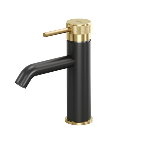 Смеситель для раковины Allen Brau Priority 5.31A01-31GB, чёрный/золото фото 