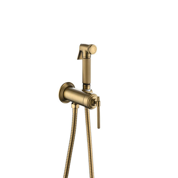 Набор для гигиенического душа Boheme Eterna 177-BR (со скрытой частью) бронза фото 