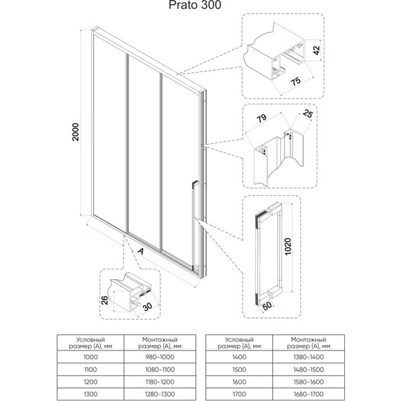Душевая дверь Veconi Premium Prato 300 120 см PR3/R-120-01-GR-C4, графит брашированный/прозрачное фото 8