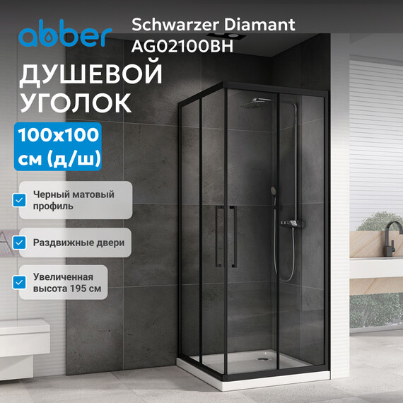 Душевое ограждение Abber Schwarzer Diamant 100х100 см AG02100BH, чёрный/прозрачное фото 3