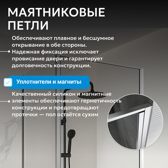 Душевое ограждение Abber Sonnenstrand 100х90 см AG04100-S90, хром/прозрачное фото 11