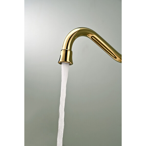 Смеситель для кухни Paulmark Retro Re213226-G, золото фото 8