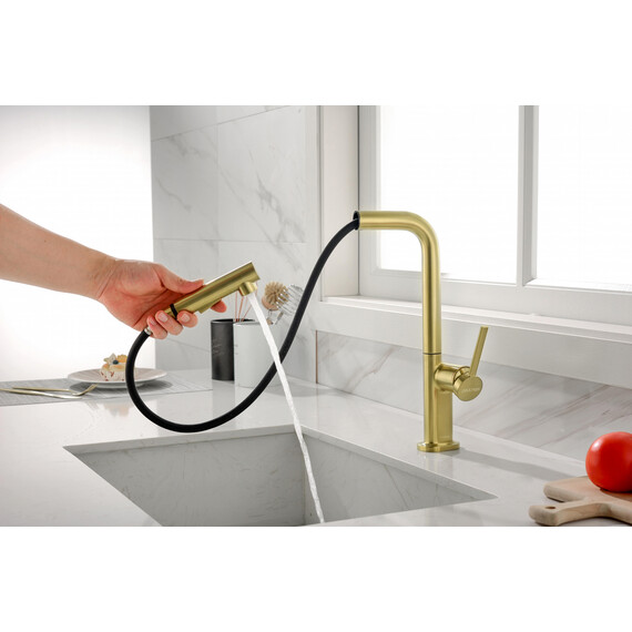 Смеситель для кухни Paulmark Neo Ne214419-BG, брашированное золото фото 9