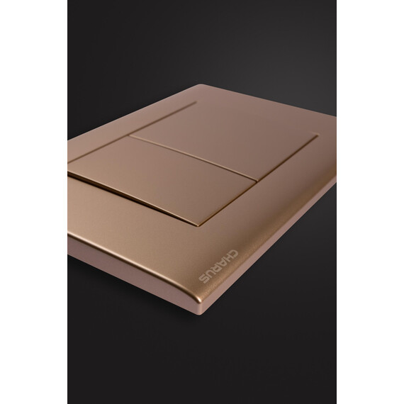 Кнопка смыва Charus Minimalista FP.310.51.01, песок матовый фото 4