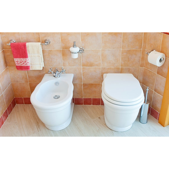 Биде напольное ArtCeram Hermitage HEB001 01 00 bi - 5 Биде напольное ArtCeram Hermitage HEB001 01 00 bi фото 5