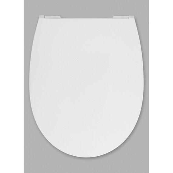 Сиденье с крышкой для унитаза Roca Leon микролифт ZRU9302943 фото 3