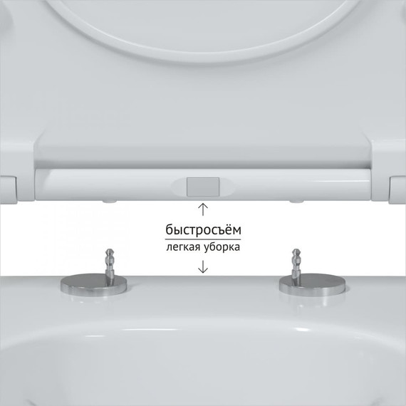 Инсталляция Berges Wasserhaus Novum с подвесным унитазом Mascon Rimless 043214 фото 8