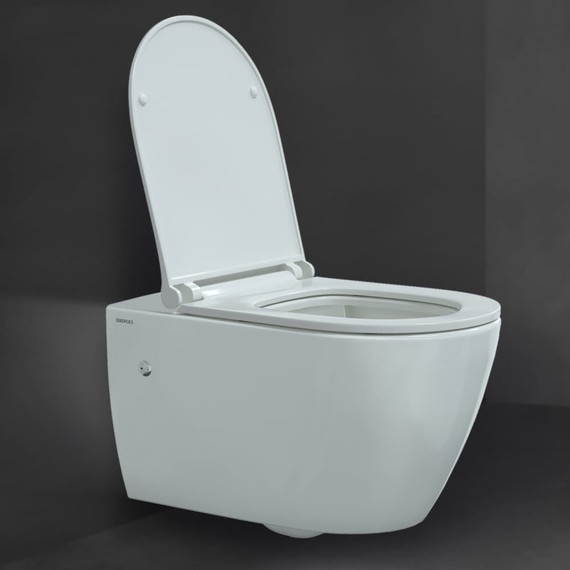 Инсталляция Berges Wasserhaus Novum с подвесным унитазом Mascon Rimless 043214 фото 7