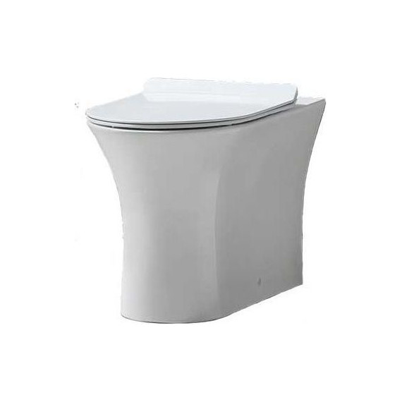 Унитаз приставной безободковый BelBagno Ancona BB1224CBR-P фото 