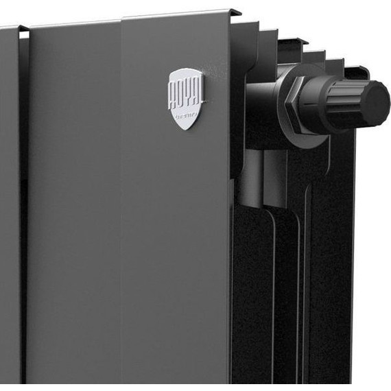 Радиатор Royal Thermo Piano Forte 300 VDR Noir Sable 1280х380 мм (16 секций) фото 2
