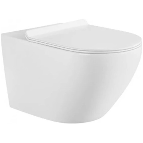 Инсталляция с подвесным унитазом комплект: Grohe Rapid SL 38772001 с подвесным унитазом Aquanet Rimless Cetus W Short LX-1900 сиденье микролифт, крепление, кнопка смыва хром - 2 Инсталляция с подвесным унитазом комплект: Grohe Rapid SL 38772001 с подвесным унитазом Aquanet Rimless Cetus W Short LX-1900 сиденье микролифт, крепление, кнопка смыва хром фото 2