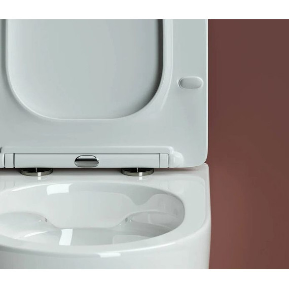 Инсталляция с подвесным унитазом ceramicanova Forma Rimless CN3009_1001CH_1000 - 9 Инсталляция с подвесным унитазом ceramicanova Forma Rimless CN3009_1001CH_1000 фото 9