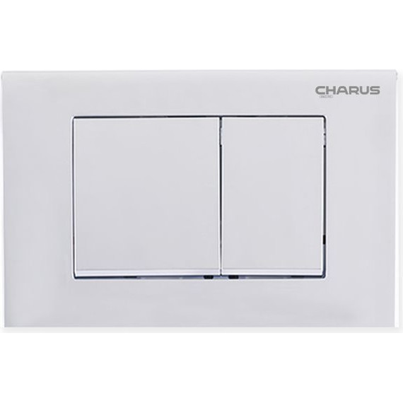 Кнопка смыва Charus Minimalista FP.310.46.01, лондонский туман фото 
