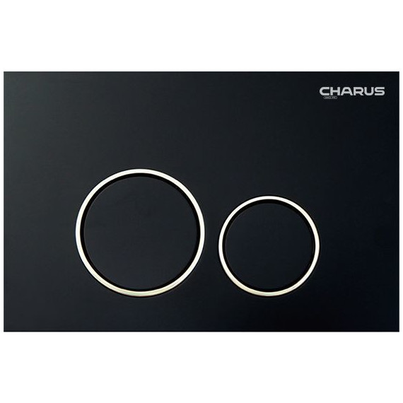 Кнопка смыва Charus Spazio FP.330.DW.01, чёрный свет фото 