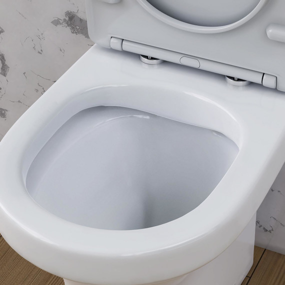 Унитаз-компакт безободковый Damixa Skyline DX35C8600SC с крышкой микролифт фото 7