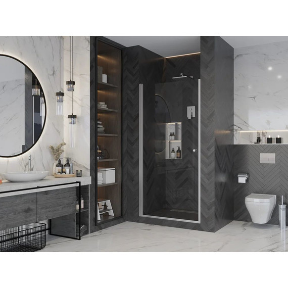 Душевая дверь Ambassador Elysium 100 см 111011111CX (стекло 8 мм) хром/прозрачное фото 3