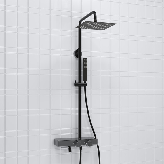 Душевая стойка с термостатом WasserKraft A114.255.218.CB Thermo, черный фото 2