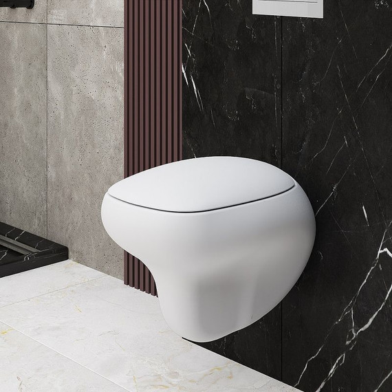 Унитаз подвесной безободковый Ambassador Diamond 123T20101R, белый матовый фото 7