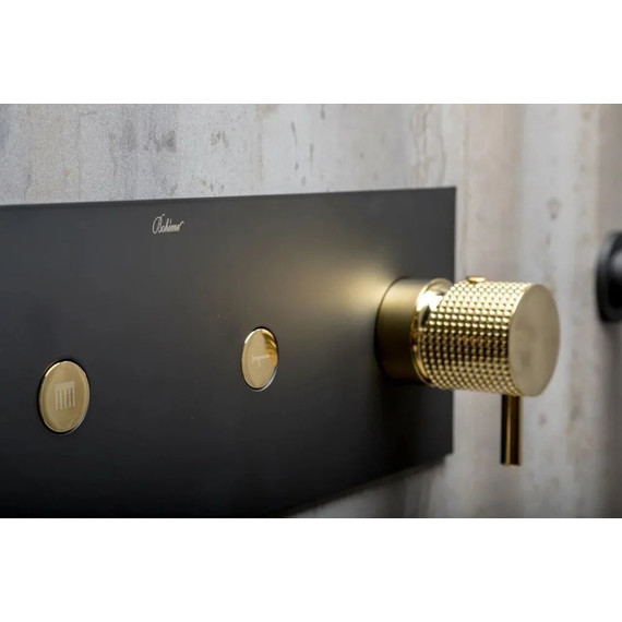 Душевая система для душа Boheme Fusion 130-BG, чёрный/золото, Цвет производителя: чёрный, золото фото 5