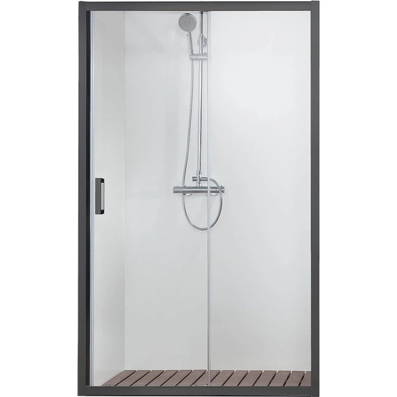 Душевая дверь Aquatek 100 см AQ ARI RA 10020BL, чёрный/прозрачное фото 