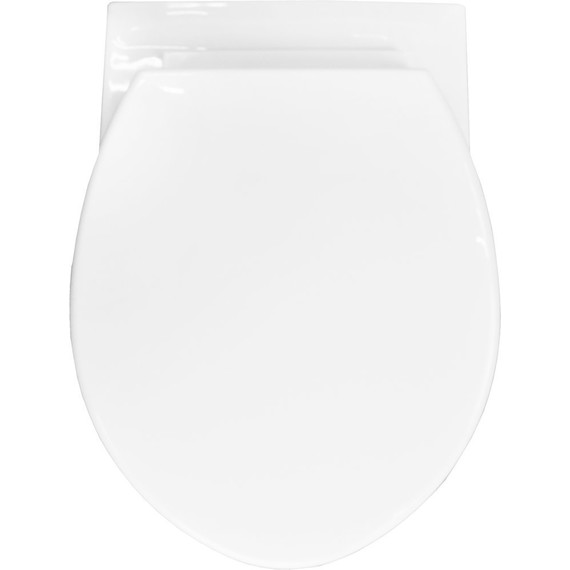 Инсталляция Loranto с подвесным унитазом Project 4501+PR1100N+7415 - 10 Инсталляция Loranto с подвесным унитазом Project 4501+PR1100N+7415 фото 10