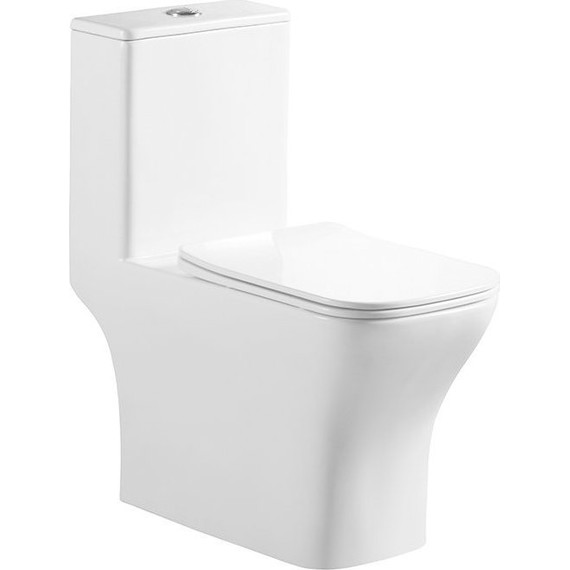 Унитаз-моноблок BelBagno Neon BB8617CPR-MN/SC с крышкой микролифт фото 