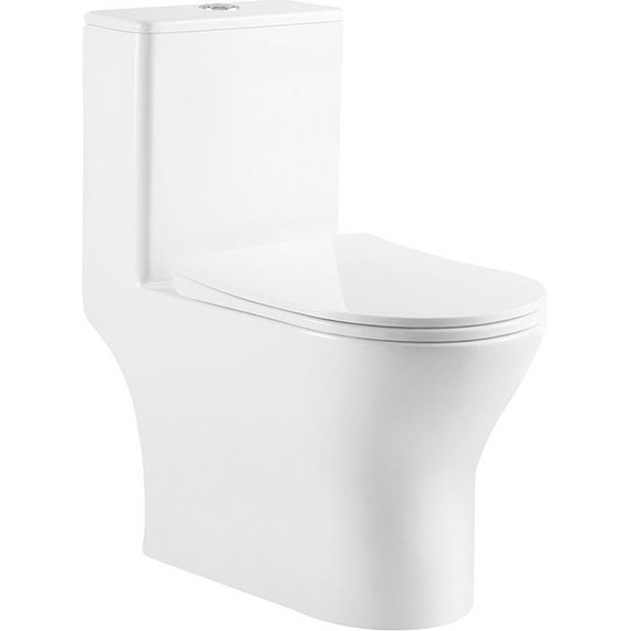 Унитаз-моноблок BelBagno Lounge BB8618CPR-MN/SC с крышкой микролифт фото 